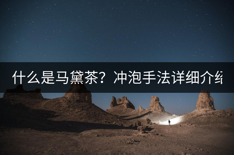 什么是馬黛茶？沖泡手法詳細(xì)介紹！
