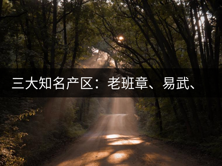 三大知名產(chǎn)區(qū)：老班章、易武、景邁三大茶系都有哪些特點(diǎn)！