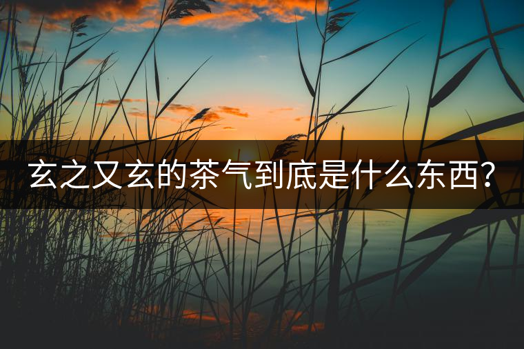 玄之又玄的茶氣到底是什么東西? 玄之又玄的茶氣到底是什么東西?