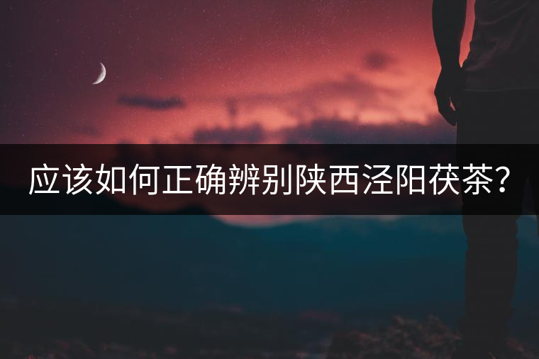 應(yīng)該如何正確辨別陜西涇陽茯茶？