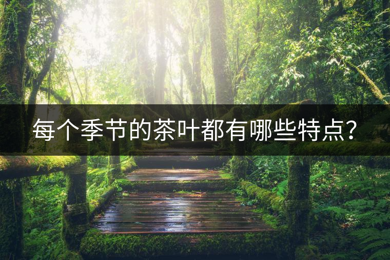 每個季節(jié)的茶葉都有哪些特點(diǎn)？