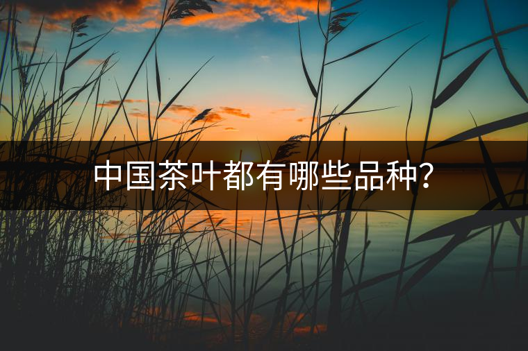 中國(guó)茶葉都有哪些品種？