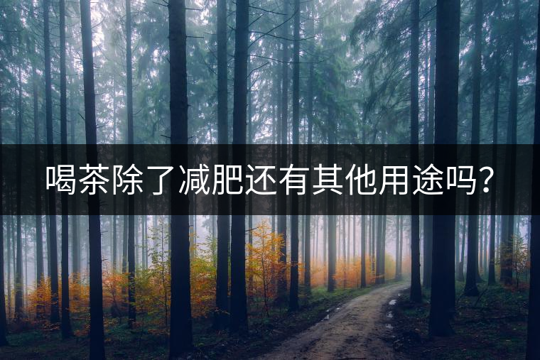 喝茶除了減肥還有其他用途嗎？