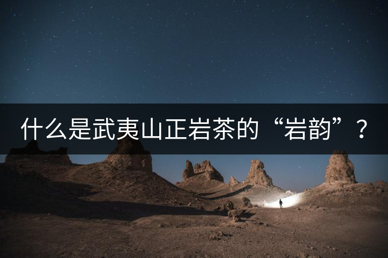 什么是武夷山正巖茶的“巖韻”？