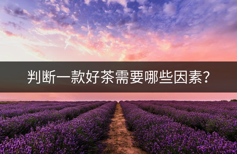 判斷一款好茶需要哪些因素？