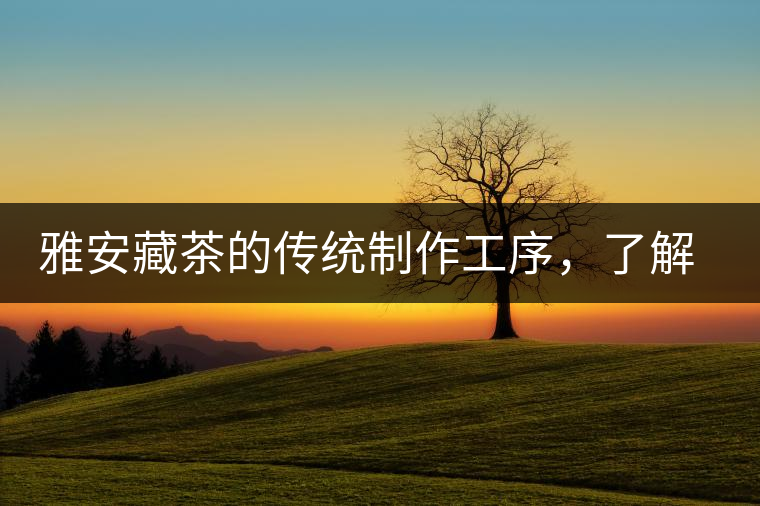 雅安藏茶的傳統(tǒng)制作工序，了解了傳統(tǒng)技藝才能更好的了解茶品！