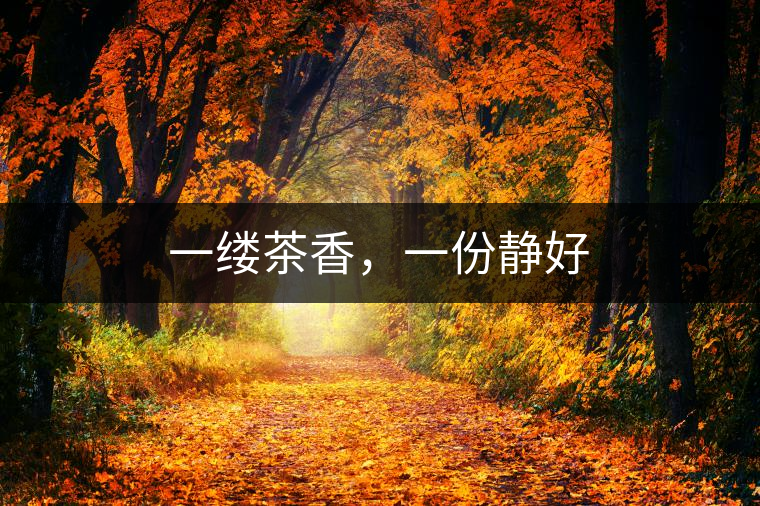 一縷茶香，一份靜好