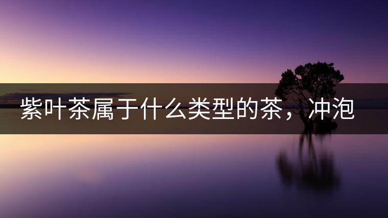 紫葉茶屬于什么類型的茶，沖泡需要注意什么？