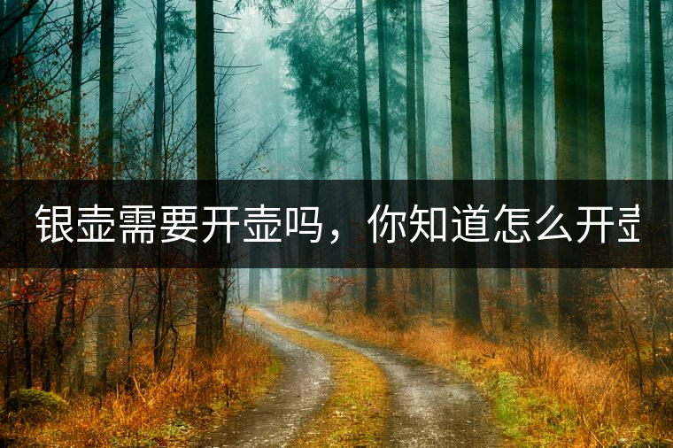 銀壺需要開(kāi)壺嗎，你知道怎么開(kāi)壺？