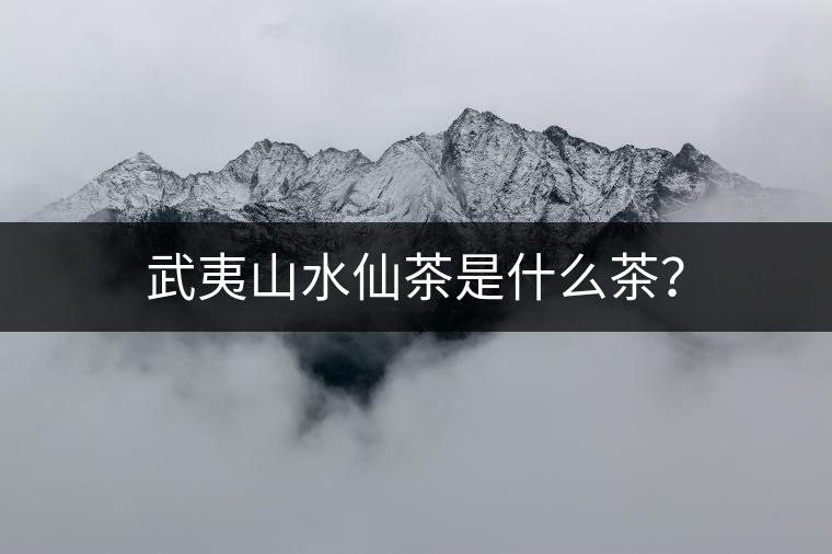 武夷山水仙茶是什么茶？