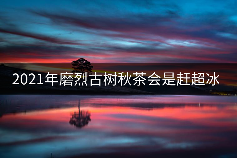 2021年磨烈古樹秋茶會是趕超冰島的存在嗎? 2021年磨烈古樹秋茶會是趕超冰島的存在嗎?