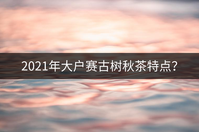 2021年大戶賽古樹秋茶特點(diǎn)？