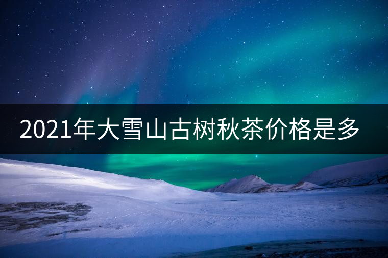 2021年大雪山古樹秋茶價(jià)格是多少？