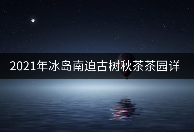 2021年冰島南迫古樹秋茶茶園詳解！