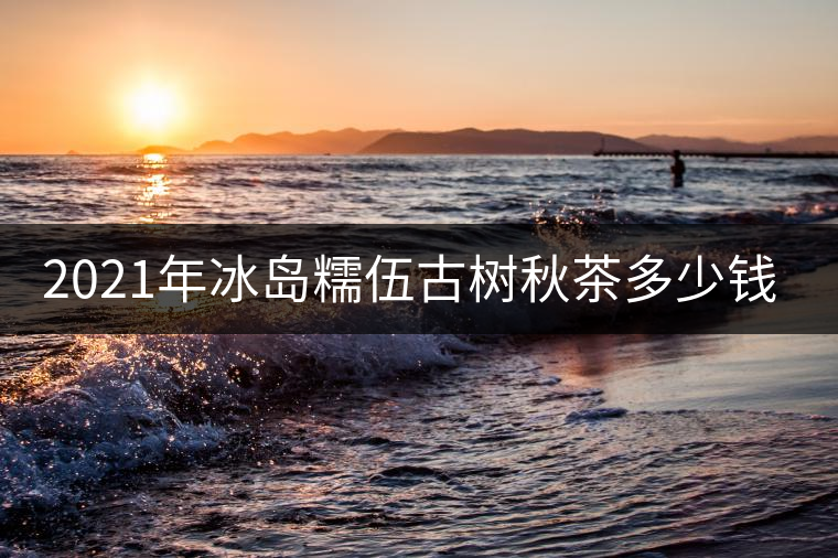 2021年冰島糯伍古樹秋茶多少錢一公斤？