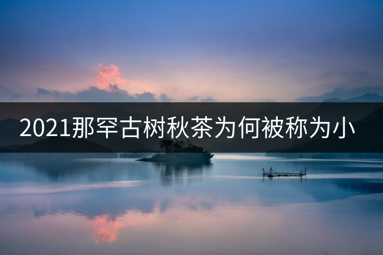 2021那罕古樹秋茶為何被稱為小昔歸？