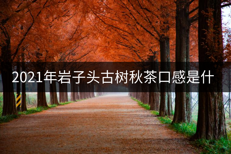 2021年巖子頭古樹秋茶口感是什么？