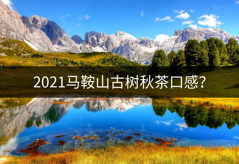 2021馬鞍山古樹秋茶口感？