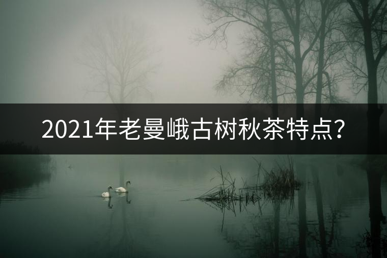 2021年老曼峨古樹秋茶特點(diǎn)？