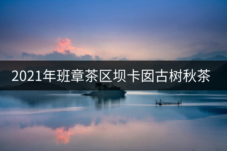 2021年班章茶區(qū)壩卡囡古樹(shù)秋茶口感？