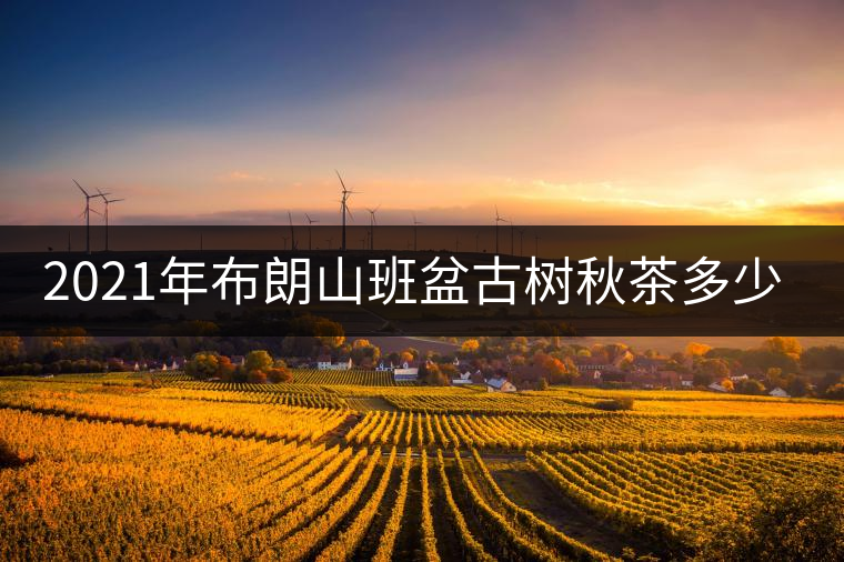 2021年布朗山班盆古樹秋茶多少錢一公斤？