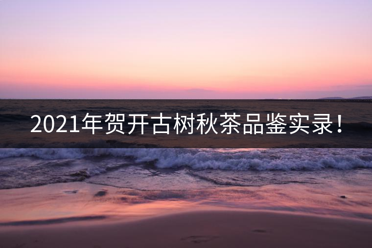 2021年賀開古樹秋茶品鑒實(shí)錄！