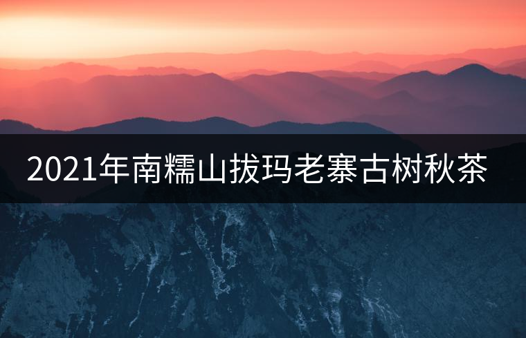 2021年南糯山拔瑪老寨古樹秋茶價格？
