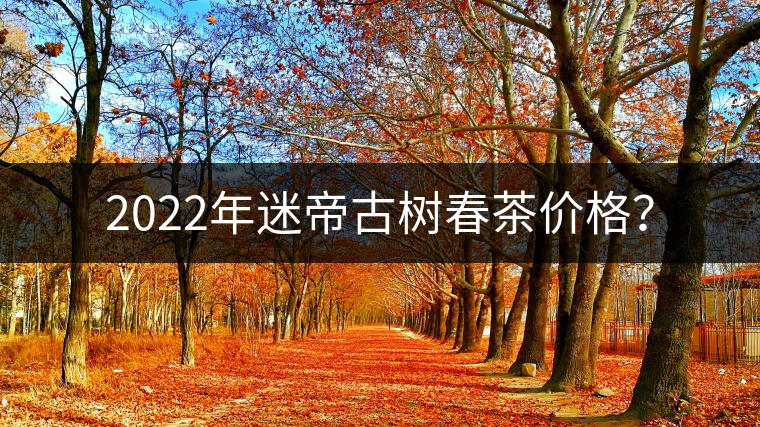 2022年迷帝古樹春茶價(jià)格？