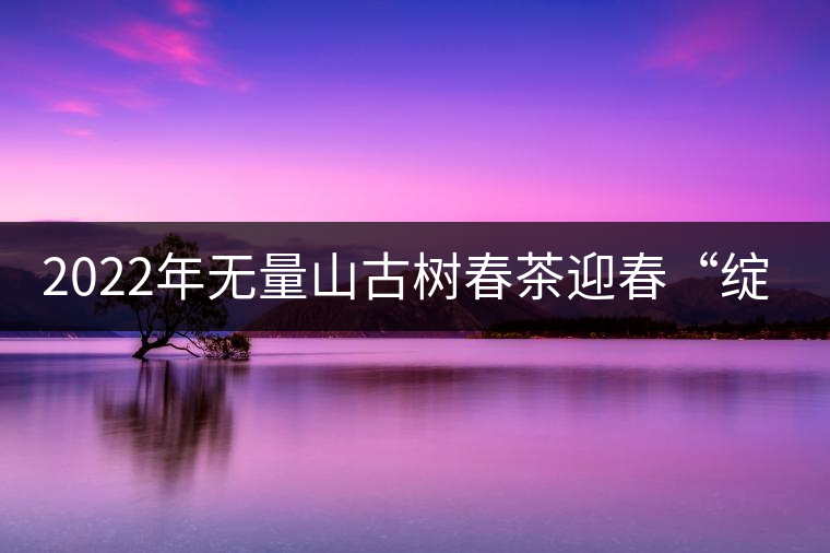 2022年無(wú)量山古樹(shù)春茶迎春“綻放”！