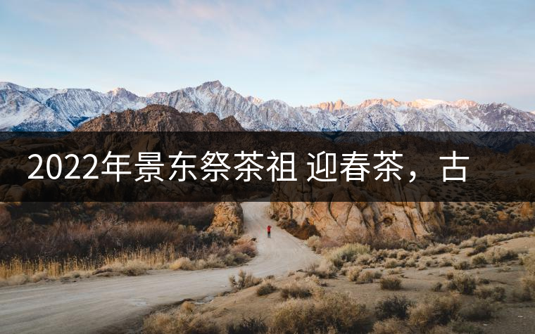 2022年景東祭茶祖 迎春茶，古樹春茶多少錢一公斤？