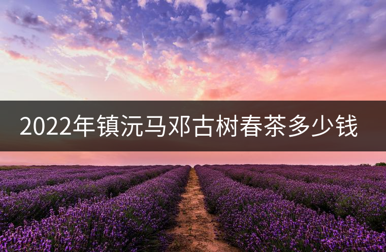 2022年鎮(zhèn)沅馬鄧古樹春茶多少錢一公斤？