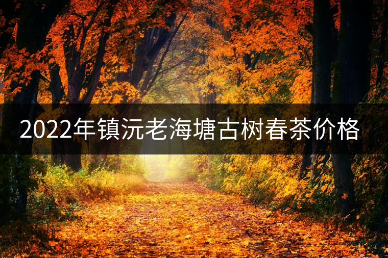 2022年鎮(zhèn)沅老海塘古樹春茶價格？