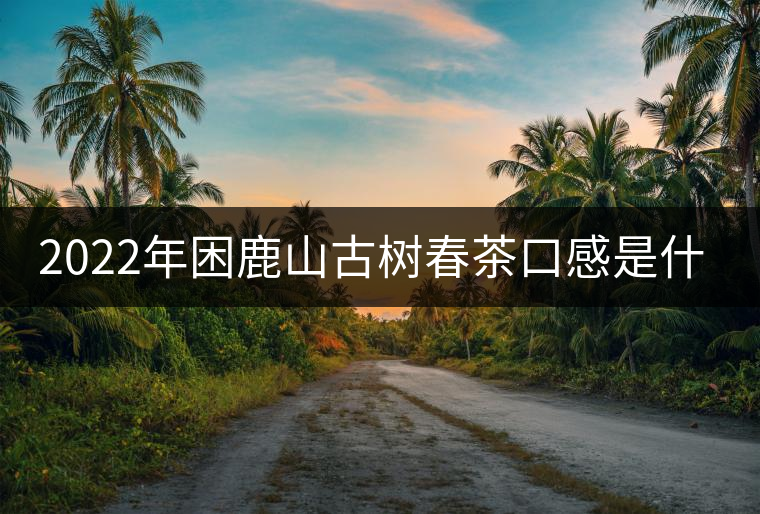 2022年困鹿山古樹(shù)春茶口感是什么？