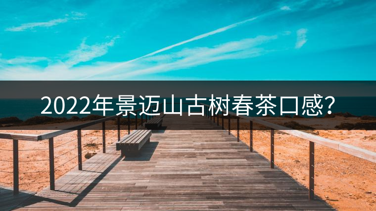 2022年景邁山古樹(shù)春茶口感？