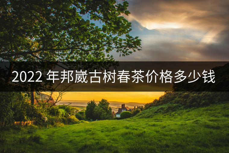 2022 年邦崴古樹春茶價格多少錢一公斤？