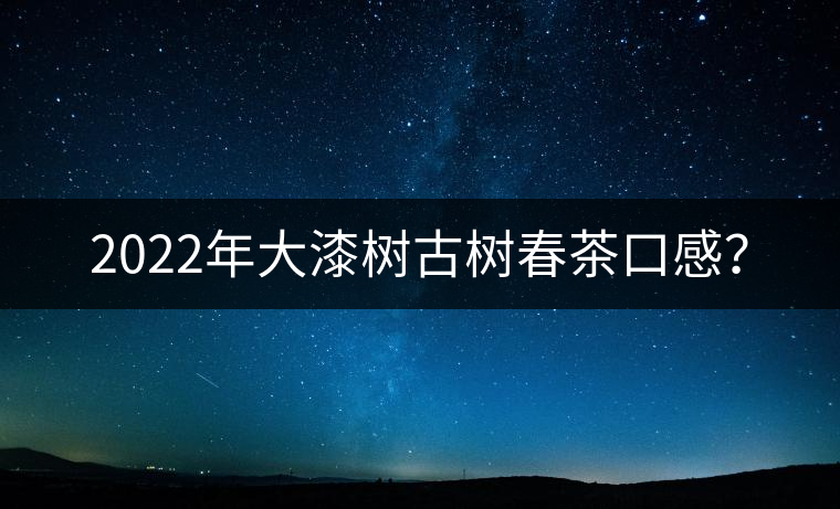 2022年大漆樹古樹春茶口感？