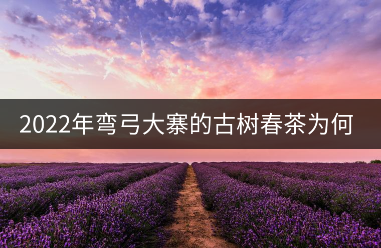 2022年彎弓大寨的古樹春茶為何如此之珍貴? 2022年彎弓大寨的古樹春茶為何如此之珍貴?