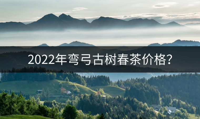 2022年彎弓古樹春茶價格？