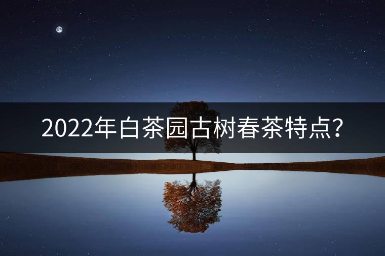 2022年白茶園古樹春茶特點(diǎn)？