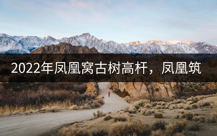 2022年鳳凰窩古樹(shù)高桿，鳳凰筑巢的地方