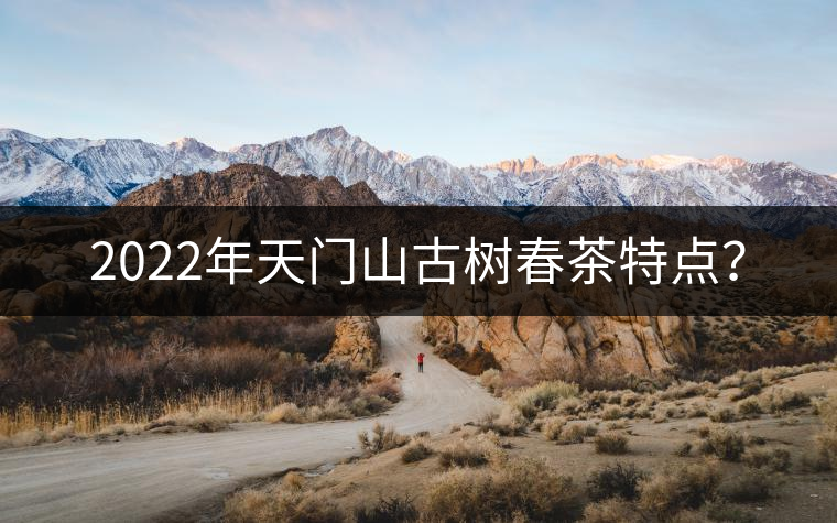 2022年天門山古樹春茶特點(diǎn)？