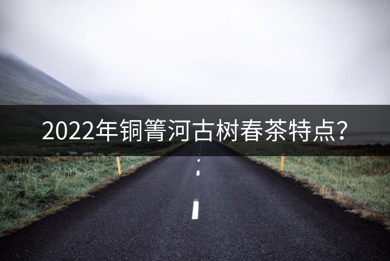 2022年銅箐河古樹春茶特點(diǎn)？