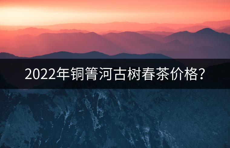 2022年銅箐河古樹春茶價(jià)格？
