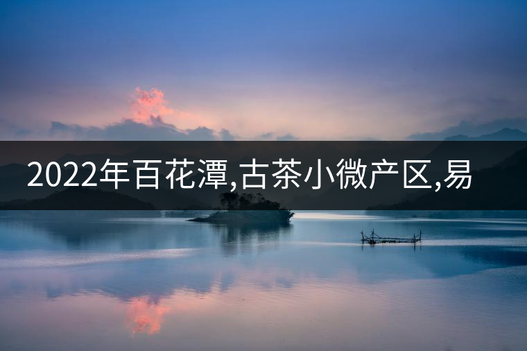 2022年百花潭,古茶小微產區(qū),易武崛起的山寨!