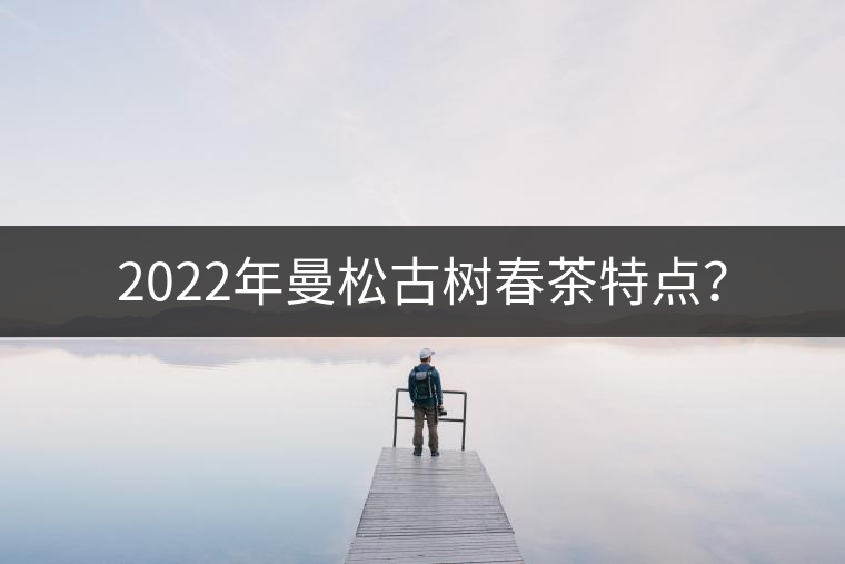 2022年曼松古樹(shù)春茶特點(diǎn)？