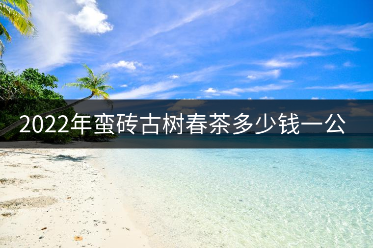 2022年蠻磚古樹春茶多少錢一公斤？