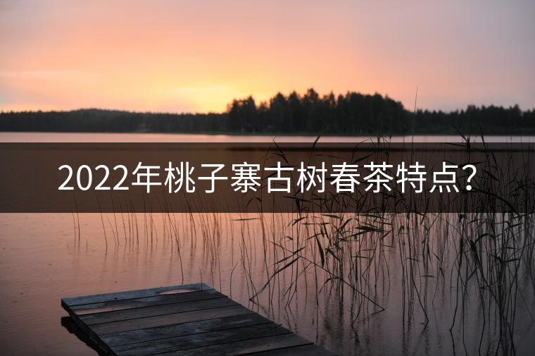 2022年桃子寨古樹春茶特點(diǎn)？