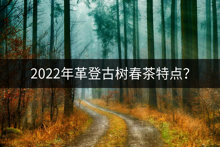 2022年革登古樹春茶特點？