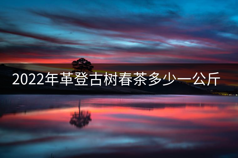 2022年革登古樹春茶多少一公斤？