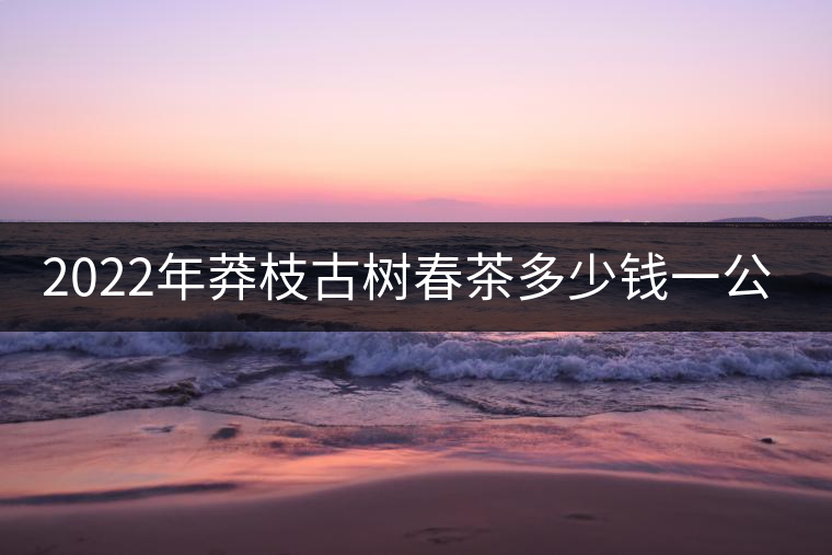 2022年莽枝古樹春茶多少錢一公斤？